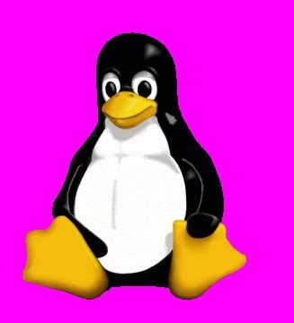 penguin magic|penguin magic free downloads.